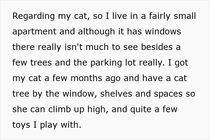 Text about a cat living in a small apartment with toys and spaces to climb near a window.