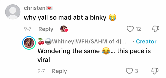 TikTok comments discussing a viral homeschool clip sparking debate and raising questions about parenting choices.