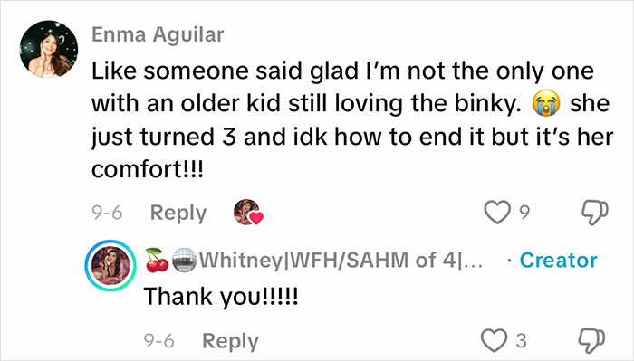 Comment thread discussing parenting choices and comfort objects sparking viral homeschool clip reactions and raising eyebrows online.