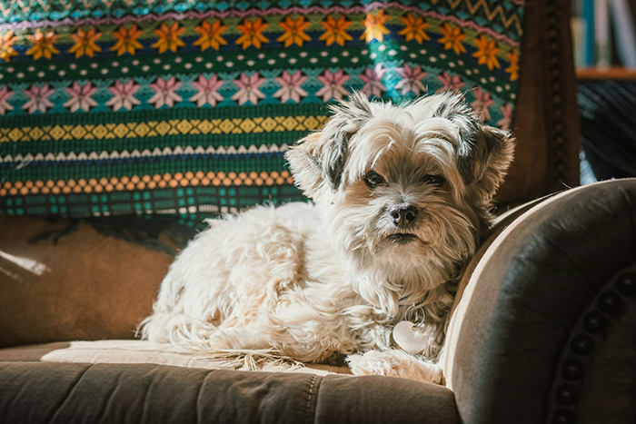 23YO Upset Family Doesn’t Follow Rules To Help Her Manage Her Allergies, Moves Out And Mom Panics 23YO Upset Family Doesn’t Follow Rules To Help Her Manage Her Allergies, Moves Out And Mom Panics