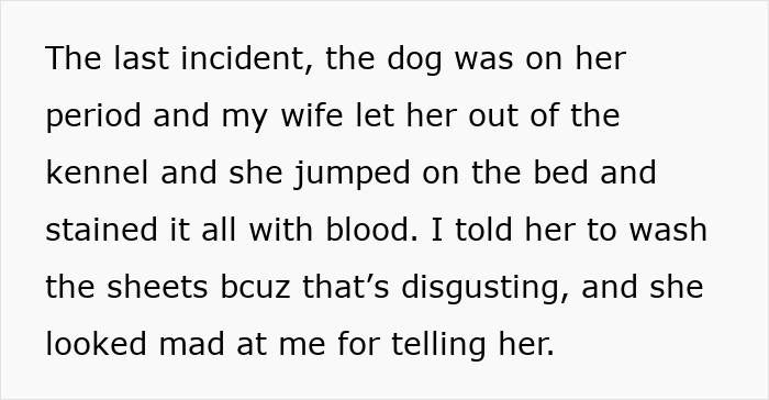 Text describing a dog-care home drama about a dog’s period causing a bed to be stained with blood and a disagreement about cleaning. Text describing a dog-care home drama about a dog’s period causing a bed to be stained with blood and a disagreement about cleaning.