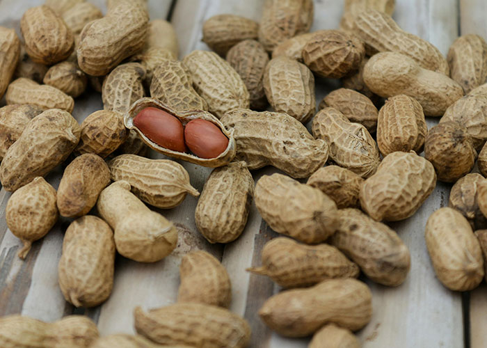 Woman Reveals The Reason Why She Lied About Being Allergic To Mushrooms After Husband Confronts Her