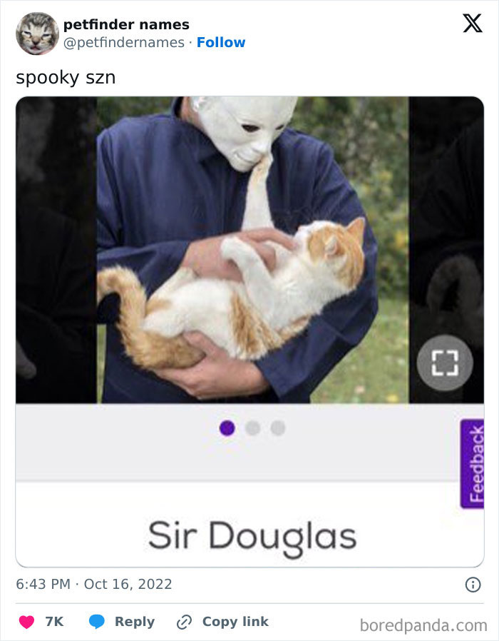Person wearing a spooky mask holding a cat named Sir Douglas, showcasing hilarious animal names found on Petfinder.