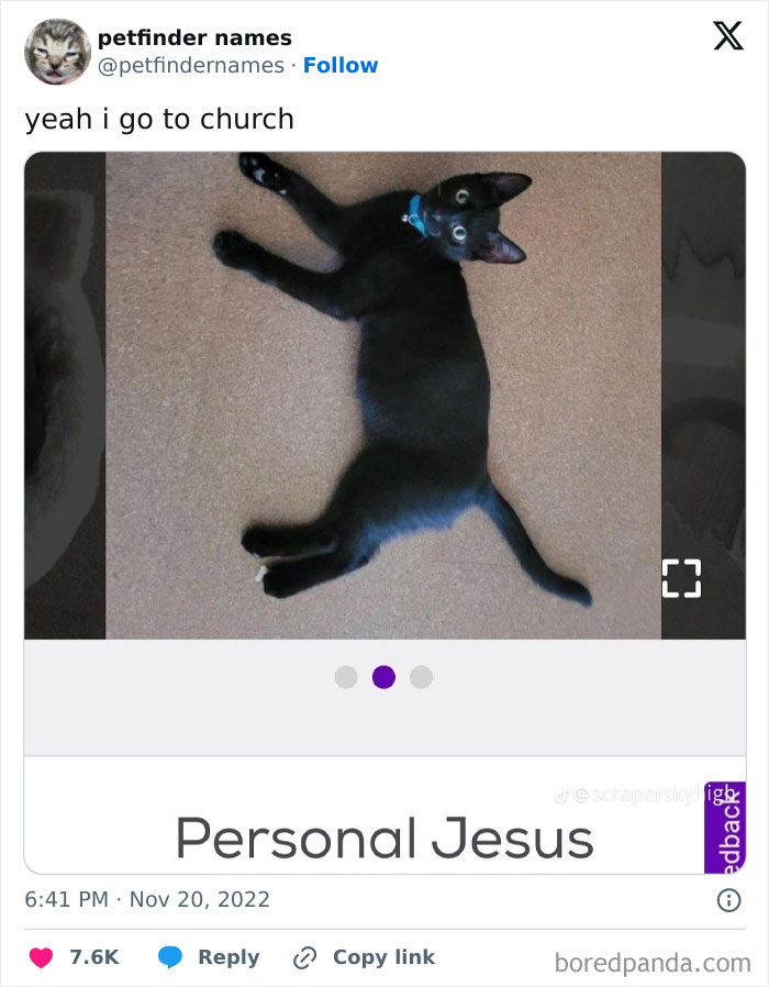 Black cat lying on carpet with the petfinder name Personal Jesus showcasing creative animal names found online