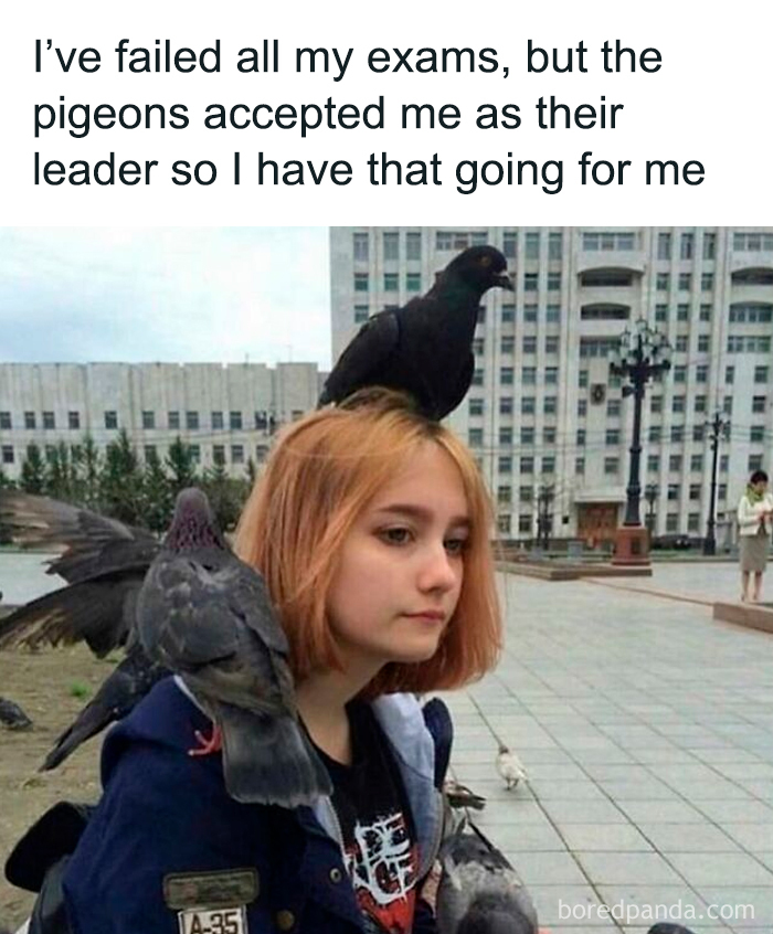 Young woman surrounded by pigeons, with one on her head and another on her shoulder, in a funny and cute animal meme.