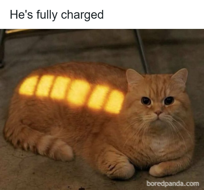 Orange cat lying on floor with sunlight pattern resembling a battery, featured in 50 cat memes to brighten holidays.