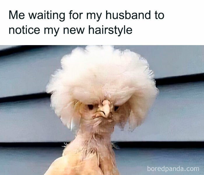 Funny and savage parenting meme featuring a bird with a humorous fluffy hairstyle and a grumpy expression.