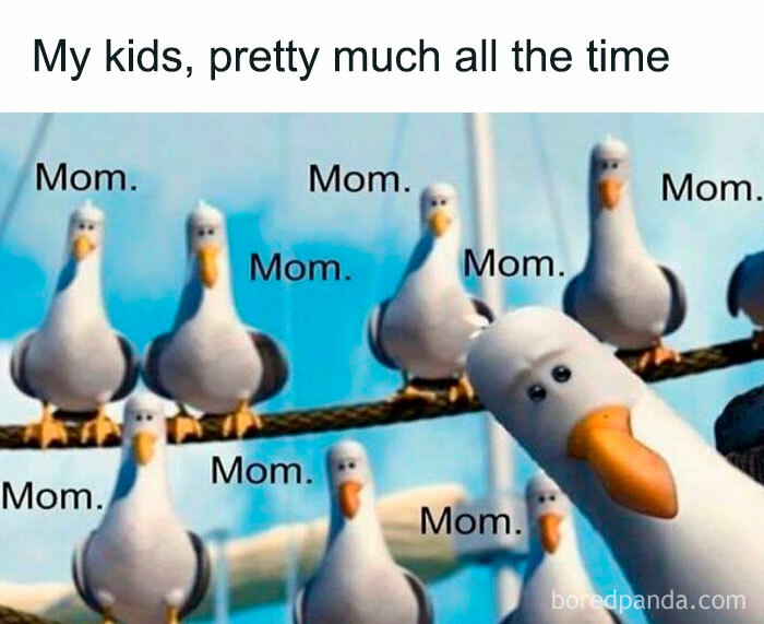 Seagulls repeatedly calling Mom, illustrating hilariously relatable memes for parents who are going through it.