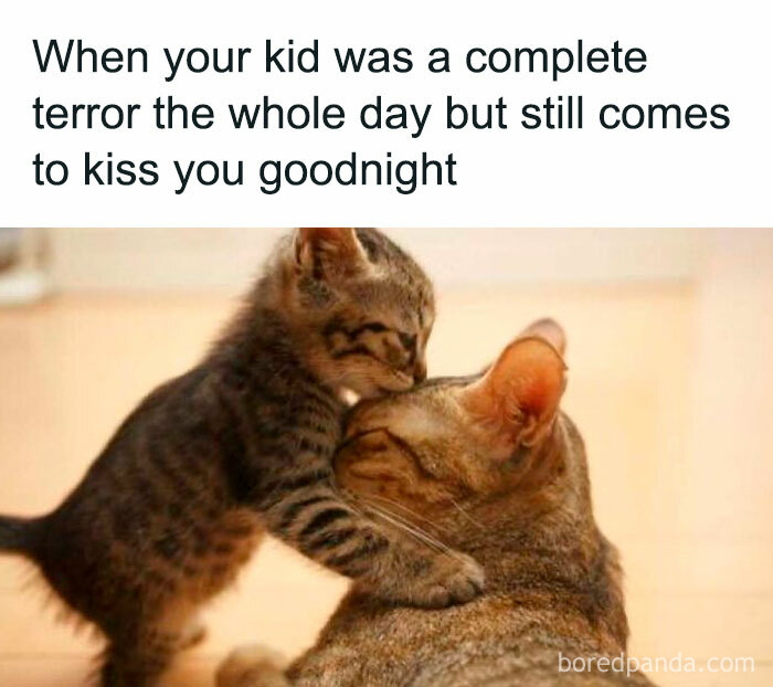 Funny and savage parenting meme showing a kitten affectionately kissing a larger cat despite a tough day behavior.
