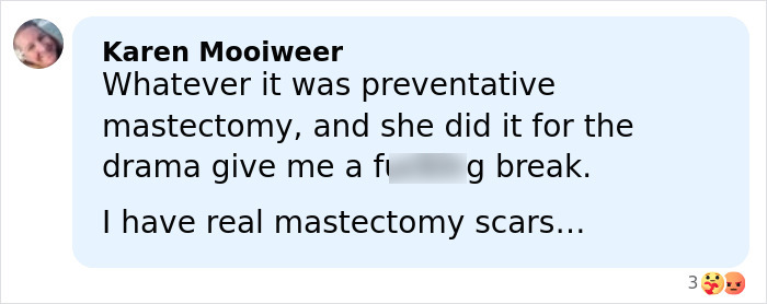 Comment from Karen Mooiweer defending mastectomy scars in an online discussion about Angelina Jolie and trolls.