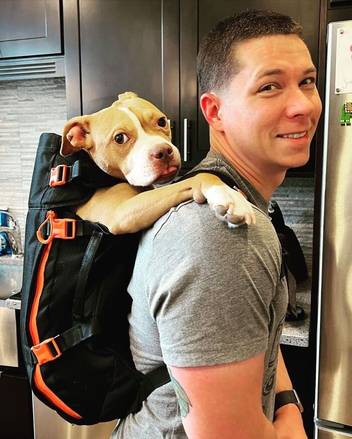 Man smiling indoors with a dog in a backpack on his back, showcasing adorable dogs in backpacks enjoying city adventures.