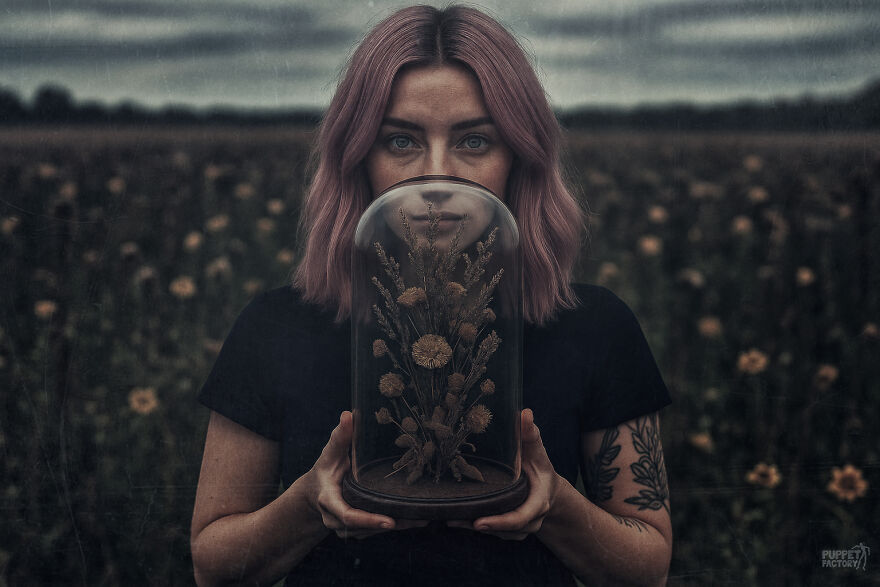 Find The AI Find The AI