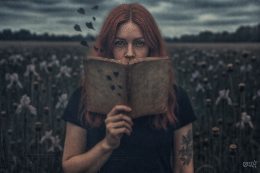 Find The AI Find The AI