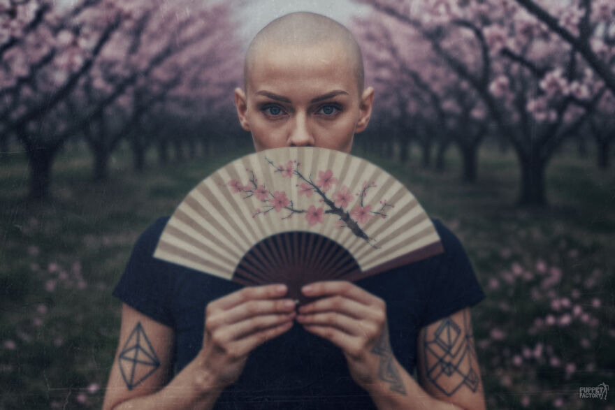 Find The AI Find The AI