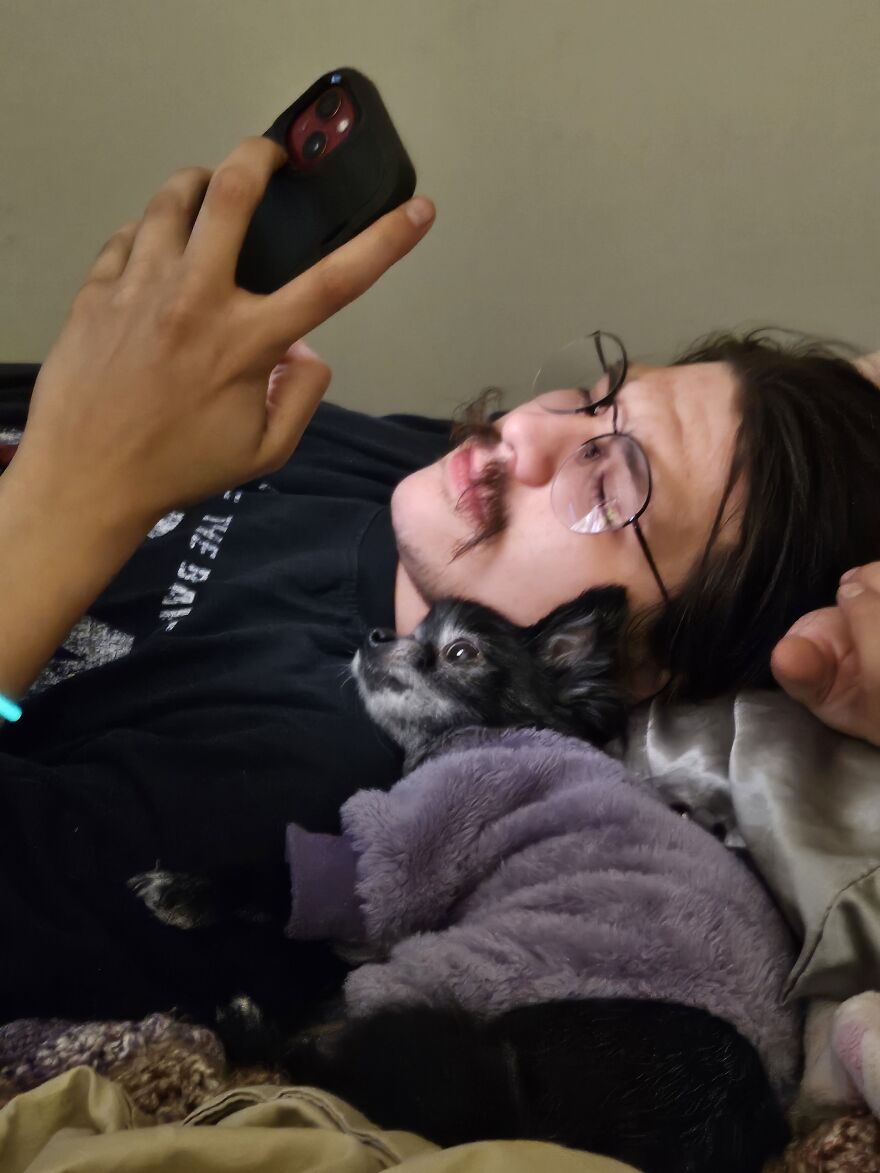 Brain Twinning Brain Twinning