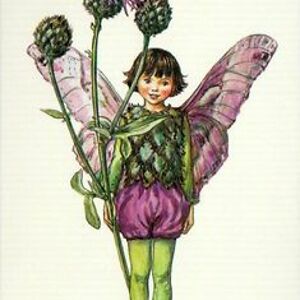 mariaocescato avatar