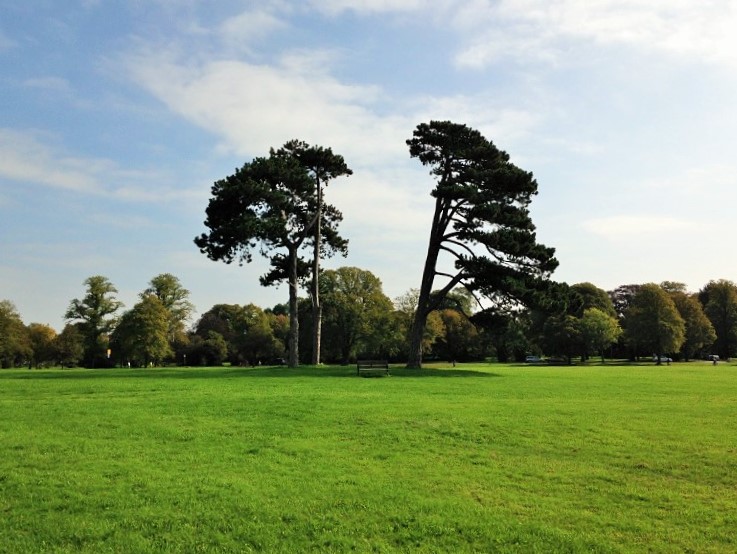 UK Council Decides Parks Are Too Free