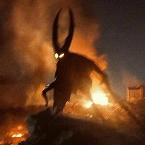 teodor-meghisan avatar