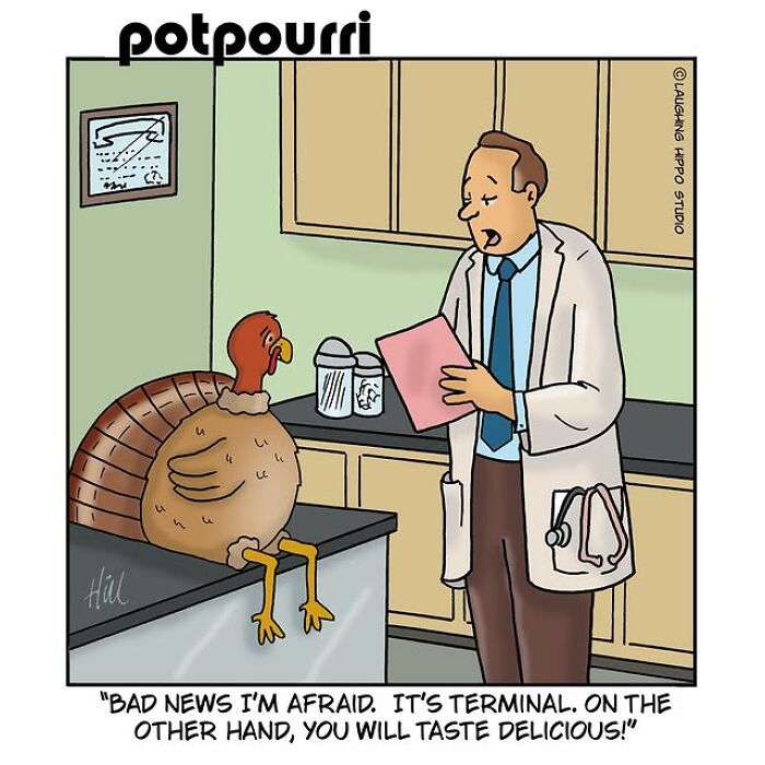 One-panel comic by Laughing Hippo Studio showing a doctor humorously telling a turkey its condition is terminal.