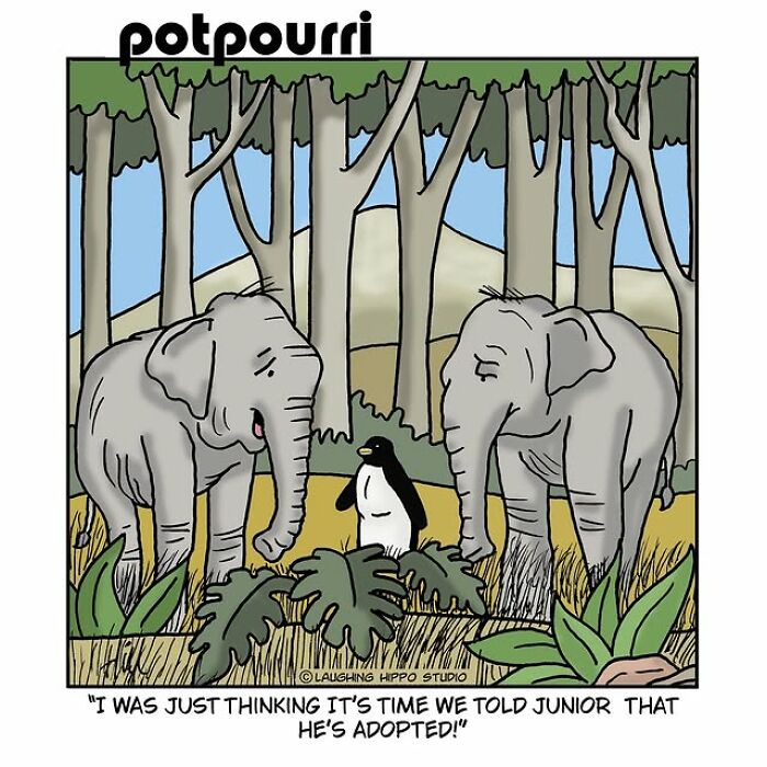 Two elephants talk to a penguin in a forest in a humorous one-panel comic by Laughing Hippo Studio.
