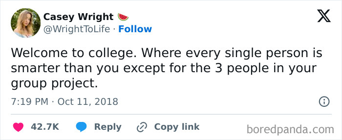 College meme showing a humorous quote about students feeling less smart except for group project members.