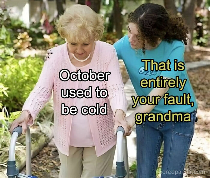 Elderly woman using walker with younger woman holding her arm, featuring funny unhinged memes text conversation.