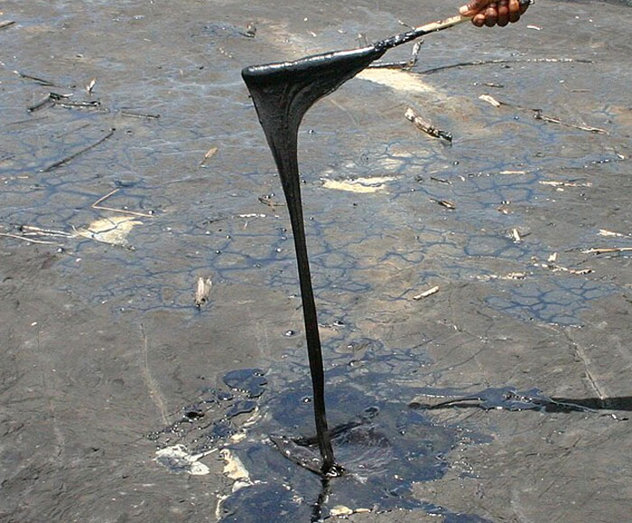 Thick black tar being lifted with a wooden stick from c*****d ground in the woods, eerie natural environment.
