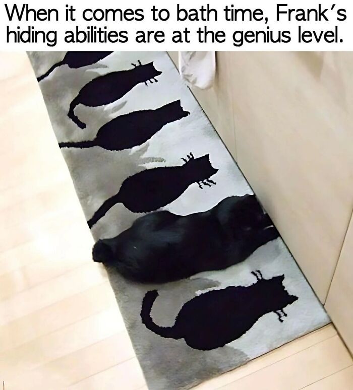 Black cat blending in perfectly on a cat silhouette rug, showcasing sweet and wholesome hiding skills to cleanse your feed.