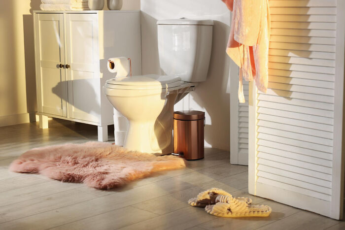 Bathroom interior with toilet, pink rug, slippers, and cabinet illustrating everyday things people accidentally did wrong.