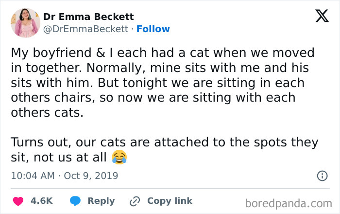 Tweet about cats sitting in spots they prefer, showing weird little guys behavior typical of cats being quirky and attached to places.