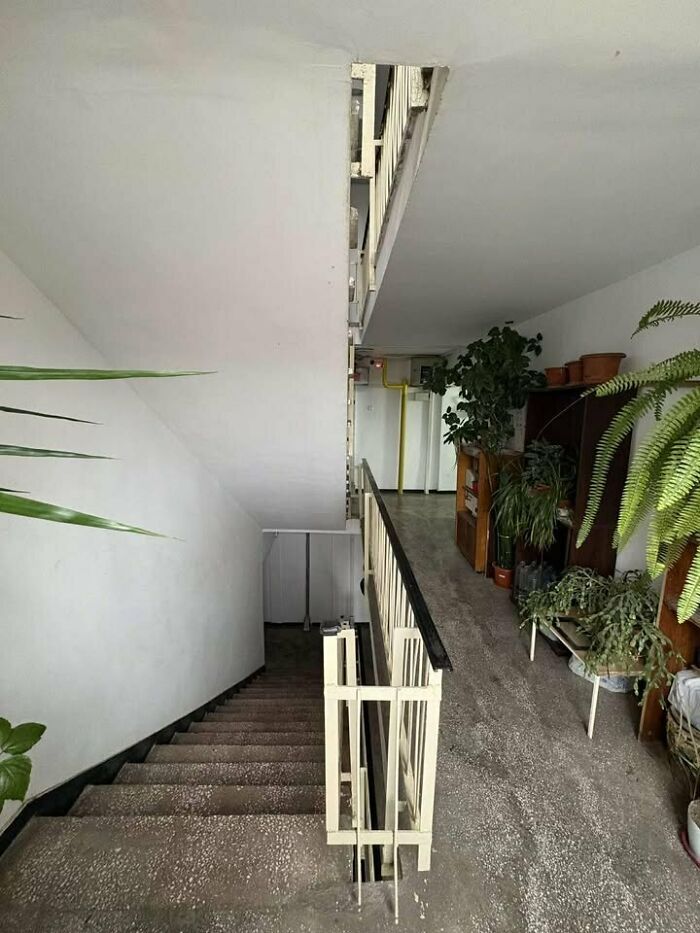 Dimly lit Eastern Europe apartment hallway with stairwell and many potted plants lining the corridor interior.