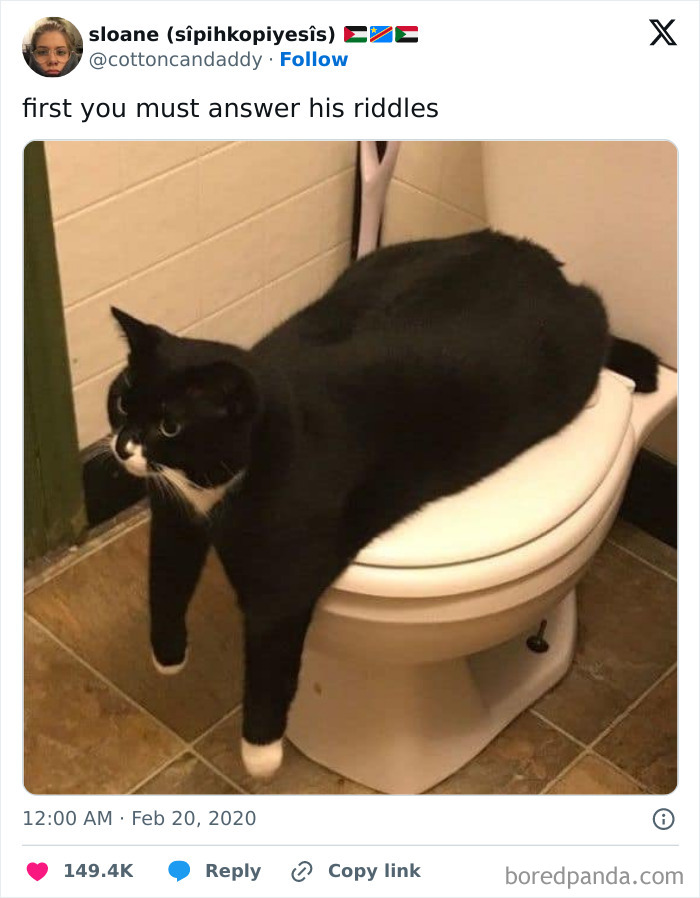 Black and white cat laying sprawled on a closed toilet seat in a bathroom, one paw hanging over the edge, cute animal meme.