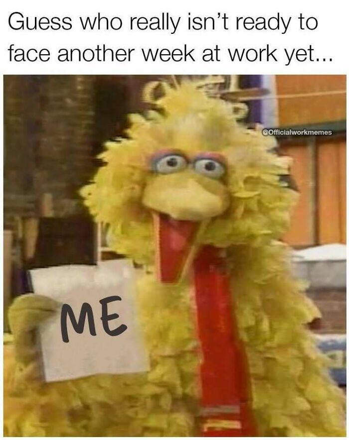 Big Bird from Sesame Street holds a sign saying ME, illustrating stress about facing another work week in hilarious memes.