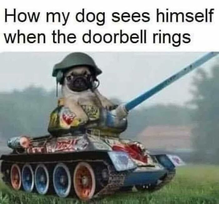 Funny meme of a dog in a military tank humorously showing hilarious memes to ease stress and make you forget worries.