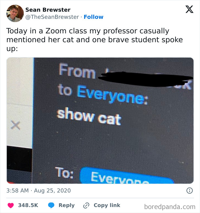 Screenshot of a Zoom chat message saying show cat, highlighting cats being weird little guys in a humorous online class setting.