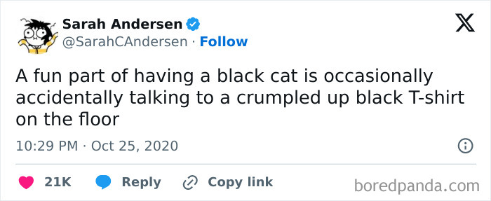 Tweet from Sarah Andersen humorously describing the experience of confusing a black cat with a crumpled black t-shirt on the floor.