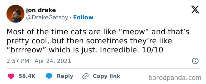 Tweet by user jon drake humorously describing cats being weird little guys with unusual meowing sounds.