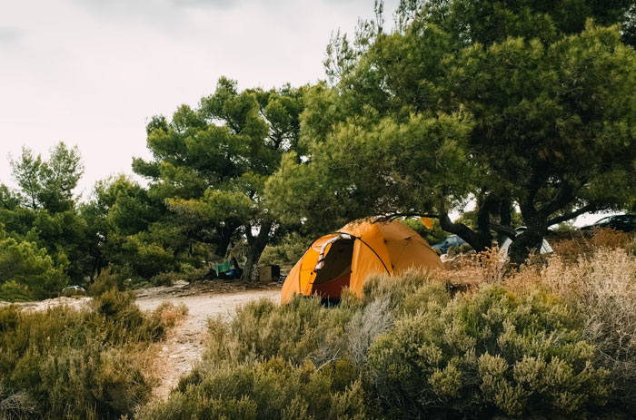 Orange tent set up in dense woods surrounded by green trees and shrubs, illustrating people who couldn't sleep after woods stay.