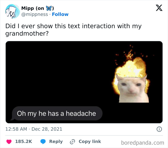 Text interaction with a grandmother featuring a humorous meme of a cat with a fiery headache in hilarious posts to make you laugh.