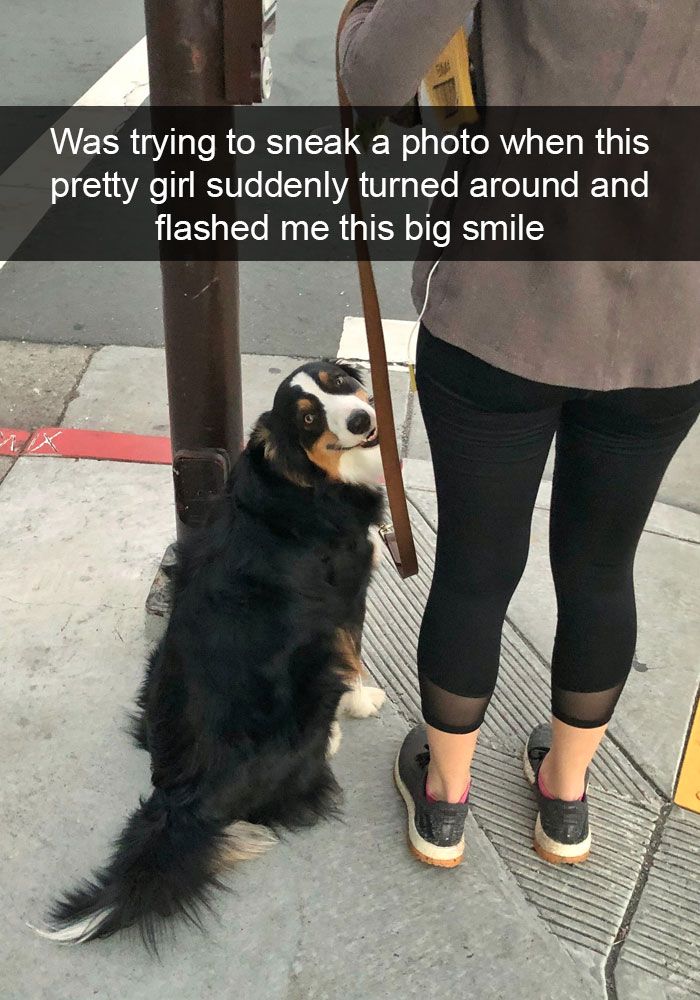 A cute dog sitting on a city sidewalk looking back with a big smile next to a person in black leggings.