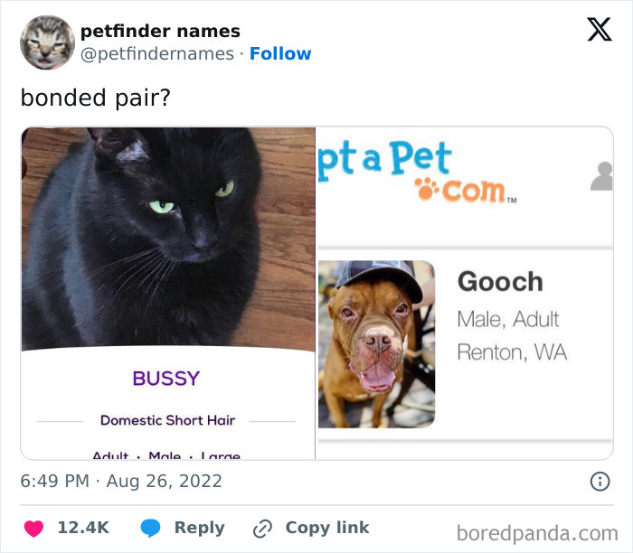 Two pets named Bussy and Gooch shown on Petfinder with creative animal names for adoption.