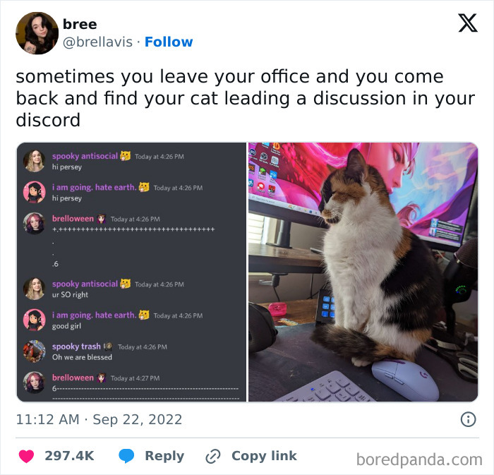 Cat sitting on a desk near a computer mouse and keyboard, humorously leading a Discord chat conversation.