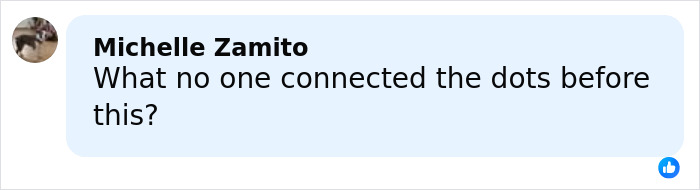 Comment by Michelle Zamito questioning what no one connected the dots before in a discussion about a horrifying wedding tragedy.
