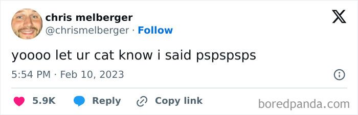 Tweet by chris melberger humorously telling readers to get their cats’ attention, related to memes of cats being weird little guys.