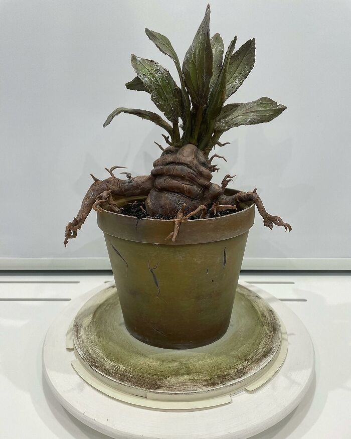 Cake designed to look like a detailed Mandrake plant in a pot, showcasing masterfully crafted cake creativity.
