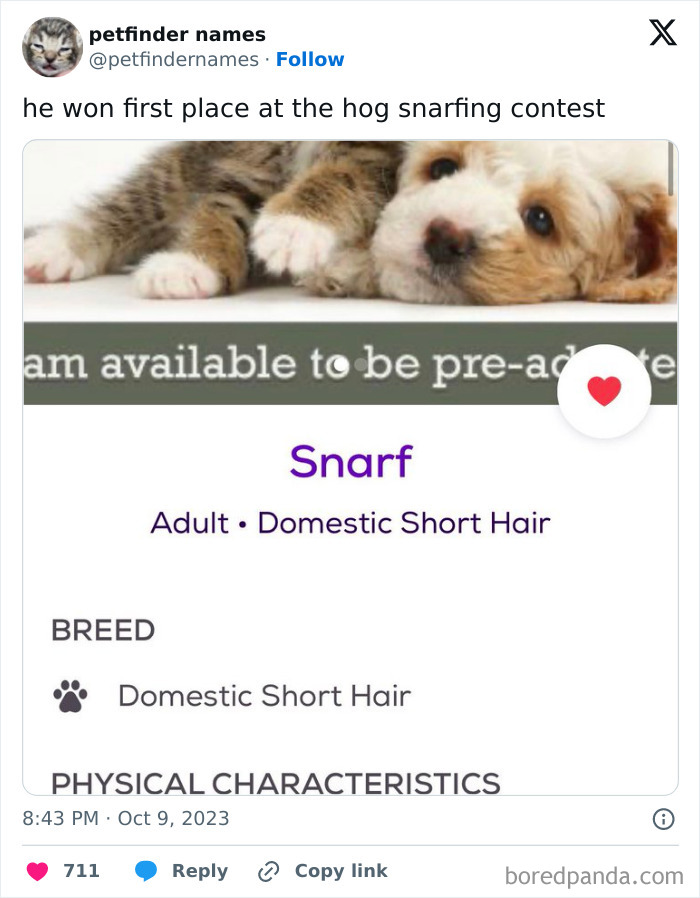 Funny pet profile showing a cat named Snarf with a creative animal name from Petfinder listings.