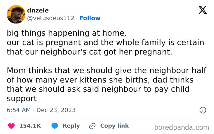 Tweet about a cat pregnancy with family debates, showcasing cats being weird little guys in a humorous way.