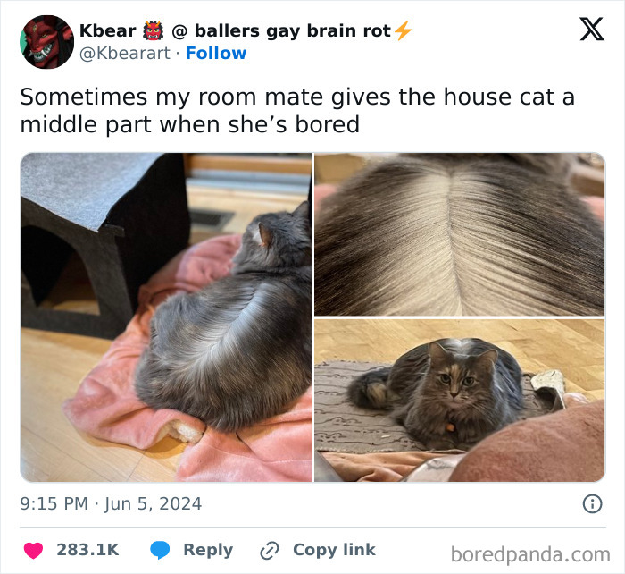 A cat with a distinct middle part in its fur, showcasing one of the weird little cat moments in new pics.