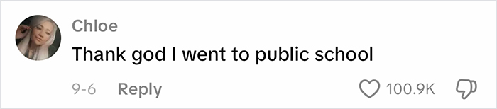 Comment from Chloe discussing public school in a viral homeschool clip that raises eyebrows about parenting choices.
