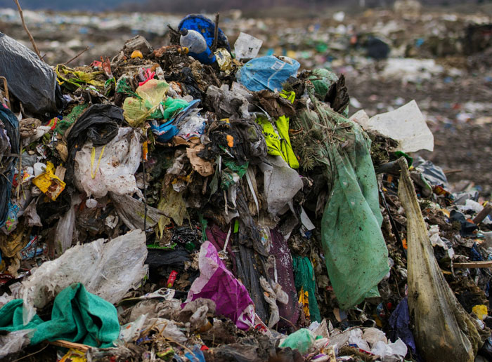 Large pile of trash and debris in the woods, illustrating the impact that disturbed wilderness may have on people unable to sleep.